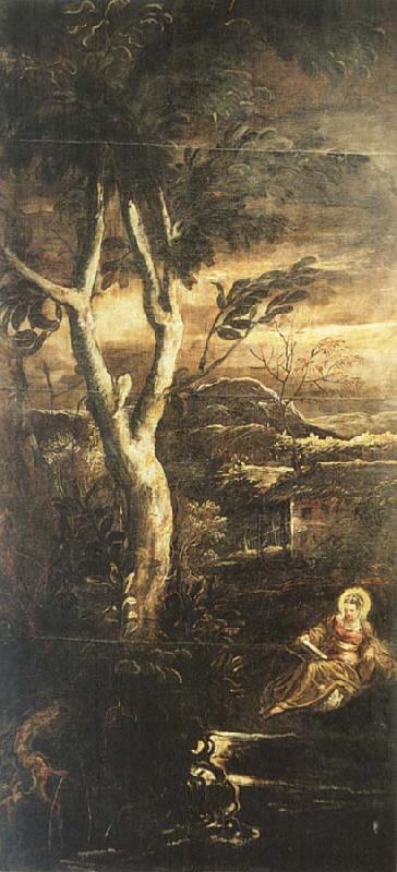 TINTORETTO, Jacopo Mary Magdalene oil painting image